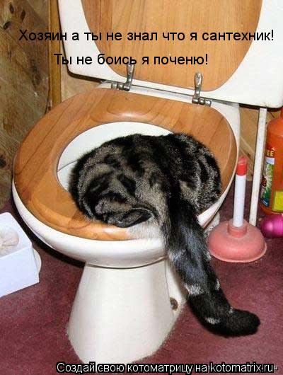 Хозяин а ты не знал что я сантехник! Ты не боись я поченю!... Котоматрица: Хозяин а ты не знал что я сантехник! Ты не боись я поченю!