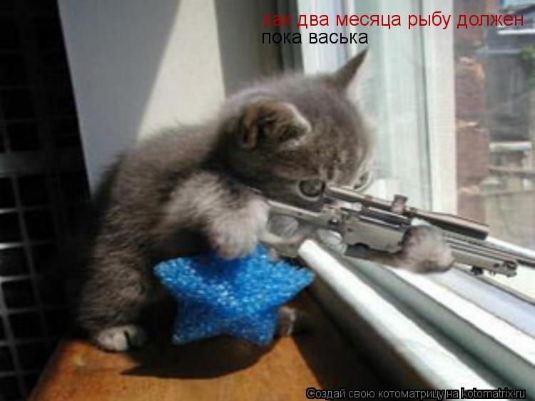 как два месяца рыбу должен пока васька... Котоматрица: как два месяца рыбу должен пока васька