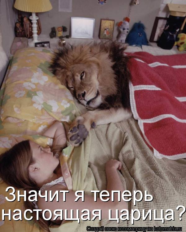 Котоматрица: Значит я теперь  настоящая царица?