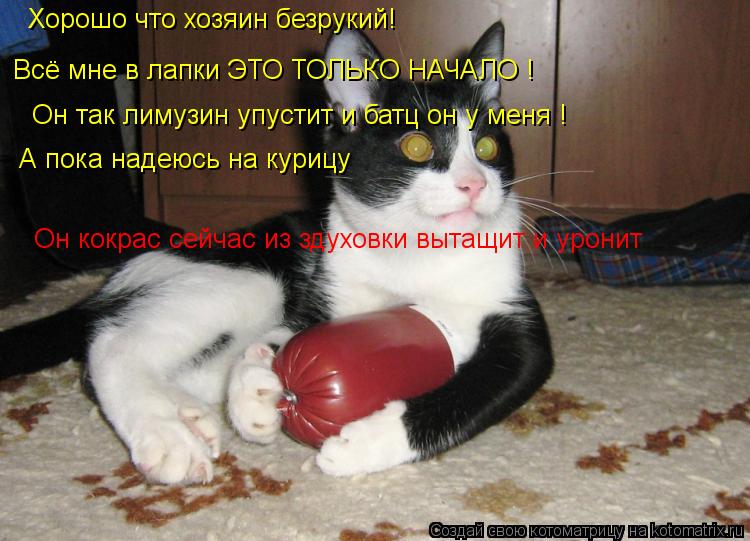 Котоматрица: Хорошо что хозяин безрукий! Всё мне в лапки ЭТО ТОЛЬКО НАЧАЛО ! Он так лимузин упустит и батц он у меня ! А пока надеюсь на курицу Он кокрас се