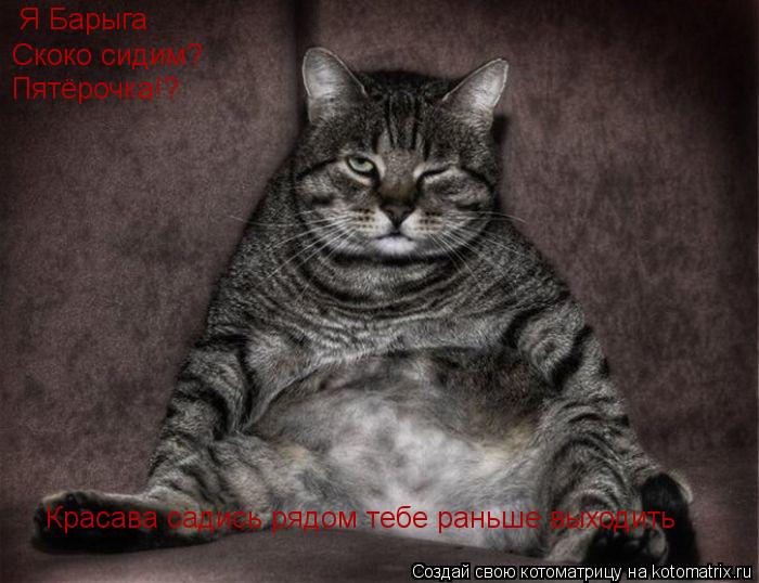 Котоматрица: Я Барыга Скоко сидим? Пятёрочка!? Красава садись рядом тебе раньше выходить