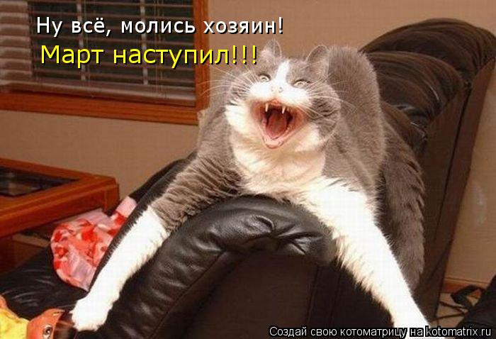 Ну всё, молись хозяин! Март наступил!!!... Котоматрица: Ну всё, молись хозяин! Март наступил!!!