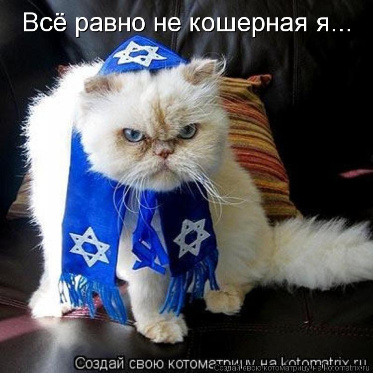 Всё равно не кошерная я...... Котоматрица: Всё равно не кошерная я...