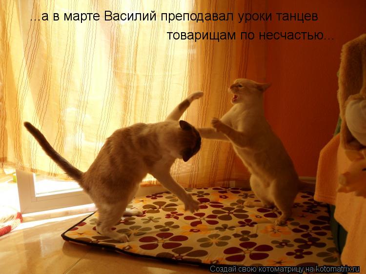 ...а в марте Василий преподавал уроки танцев товарищам по несчастью...... Котоматрица: ...а в марте Василий преподавал уроки танцев товарищам по несчастью...