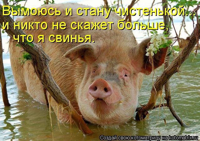 Вымоюсь и стану чистенькой... и никто не скажет больше, что я свинья.... Котоматрица: Вымоюсь и стану чистенькой... и никто не скажет больше, что я свинья.
