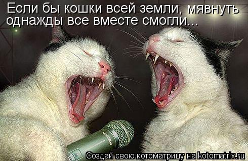 Если бы кошки всей земли, мявнуть однажды все вместе смогли...... Котоматрица: Если бы кошки всей земли, мявнуть однажды все вместе смогли...