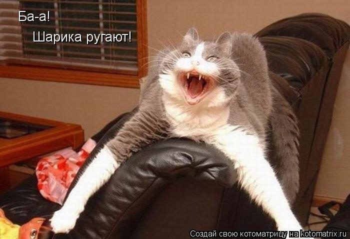 Ба-а! Шарика ругают!... Котоматрица: Ба-а! Шарика ругают!