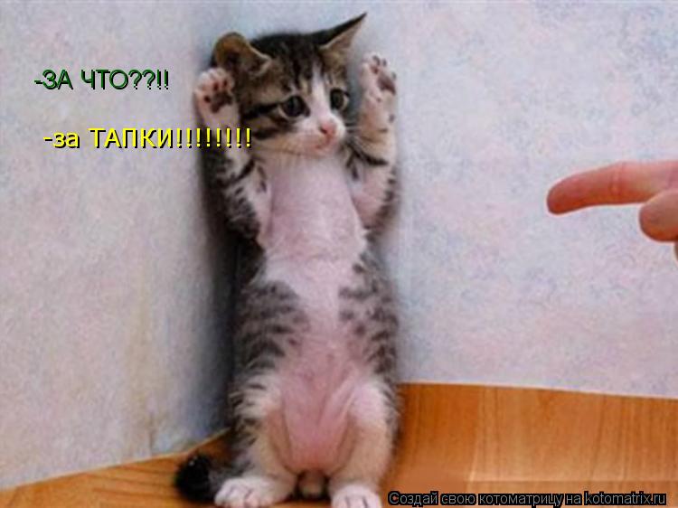 -ЗА ЧТО??!! -за ТАПКИ!!!!!!!!... Котоматрица: -ЗА ЧТО??!! -за ТАПКИ!!!!!!!!