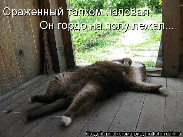Сраженный тапком наповал, Он гордо на полу лежал...... Котоматрица: Сраженный тапком наповал, Он гордо на полу лежал...
