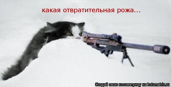 какая отвратительная рожа...... Котоматрица: какая отвратительная рожа...