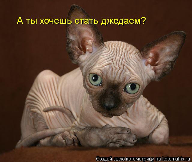 http://kotomatrix.ru/images/lolz/2012/03/18/1141725.jpg
