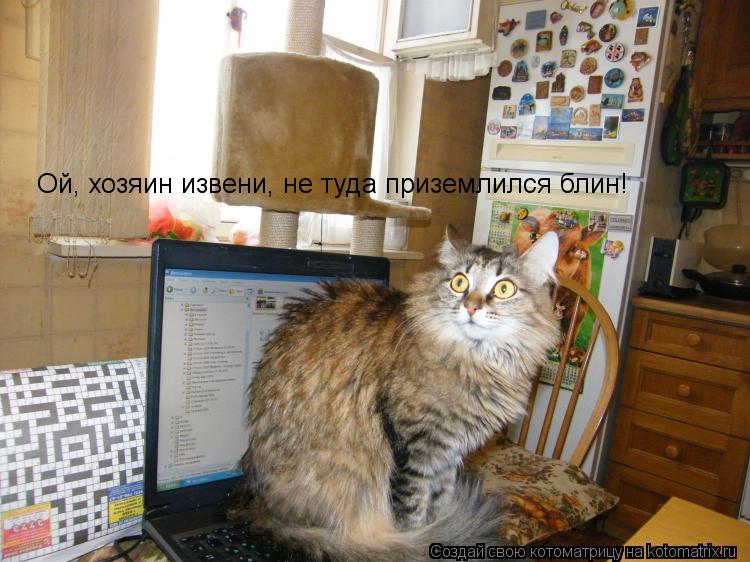 Ой, хозяин извени, не туда приземлился блин!... Котоматрица: Ой, хозяин извени, не туда приземлился блин!