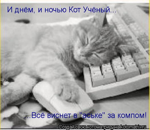 И днём, и ночью Кот Учёный... ...Всё виснет в "аське" за компом!... Котоматрица: И днём, и ночью Кот Учёный... ...Всё виснет в "аське" за компом!