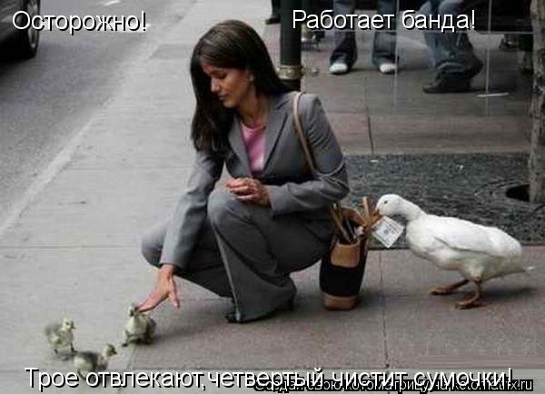 Осторожно! Работает банда! Трое отвлекают,четвертый чистит сумочки!... Котоматрица: Осторожно! Работает банда! Трое отвлекают,четвертый чистит сумочки!