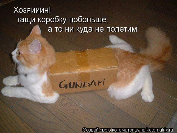 Хозяииин! тащи коробку побольше, а то ни куда не полетим... Котоматрица: Хозяииин! тащи коробку побольше, а то ни куда не полетим