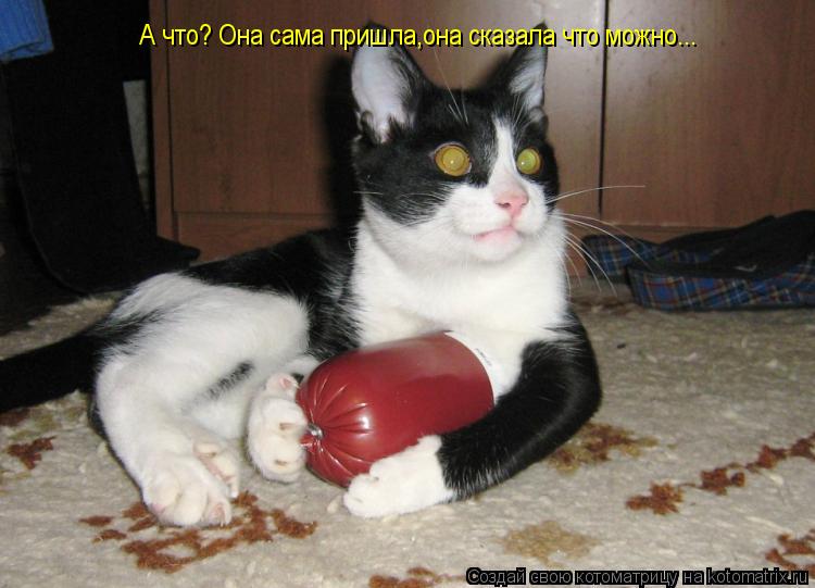 А что? Она сама пришла,она сказала что можно...... Котоматрица: А что? Она сама пришла,она сказала что можно...