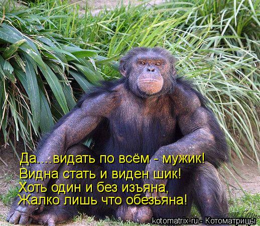 Да....видать по всём - мужик! Видна стать и виден шик! Хоть один и без изъяна, Жалко лишь что обезья... Котоматрица: Да....видать по всём - мужик! Видна стать и виден шик! Хоть один и без изъяна, Жалко лишь что обезьяна!