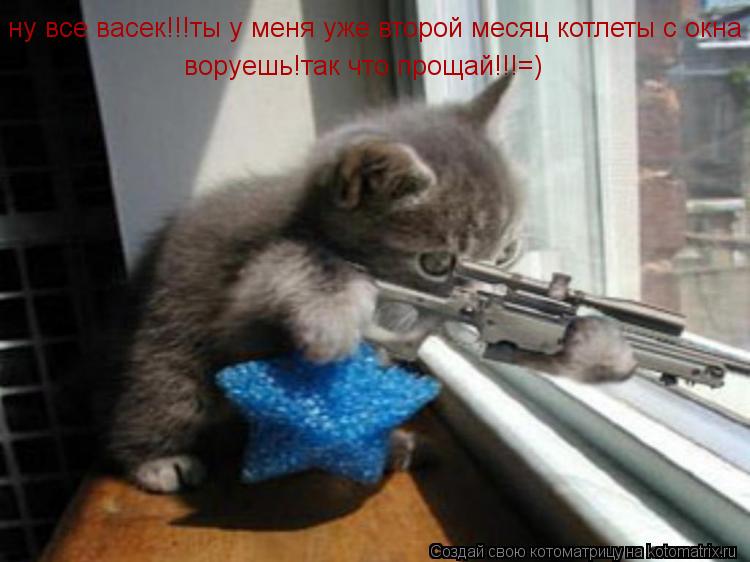 ну все васек!!!ты у меня уже второй месяц котлеты с окна воруешь!так что прощай!!!=)... Котоматрица: ну все васек!!!ты у меня уже второй месяц котлеты с окна воруешь!так что прощай!!!=)