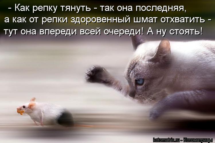- Как репку тянуть - так она последняя, а как от репки здоровенный шмат отхватить - тут она впереди... Котоматрица: - Как репку тянуть - так она последняя, а как от репки здоровенный шмат отхватить - тут она впереди всей очереди! А ну стоять!