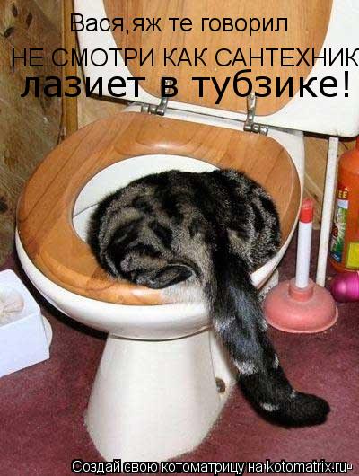 Вася,яж те говорил НЕ СМОТРИ КАК САНТЕХНИК лазиет в тубзике!... Котоматрица: Вася,яж те говорил НЕ СМОТРИ КАК САНТЕХНИК лазиет в тубзике!
