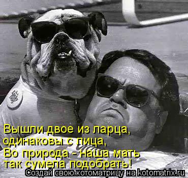 Котоматрица: Вышли двое из ларца, одинаковы с лица, Во природа - наша мать так сумела подобрать!