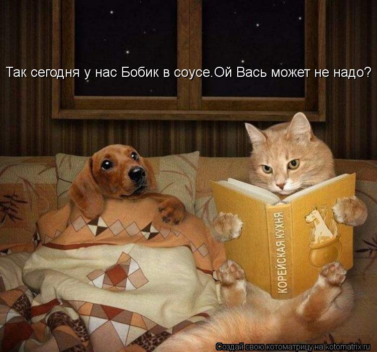 Так сегодня у нас Бобик в соусе.Ой Вась может не надо?... Котоматрица: Так сегодня у нас Бобик в соусе.Ой Вась может не надо?