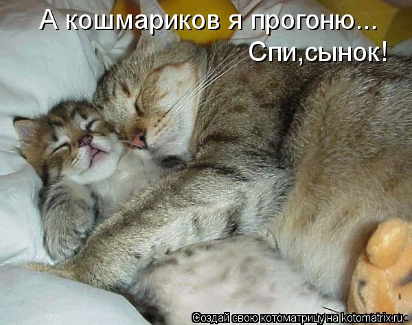 А кошмариков я прогоню... Спи,сынок!... Котоматрица: А кошмариков я прогоню... Спи,сынок!