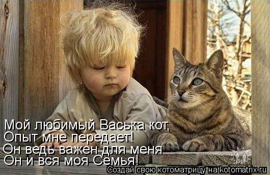 Котоматрица: Мой любимый Васька кот, Опыт мне передает! Он ведь важен для меня  Он и вся моя Семья!