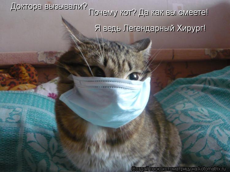 Доктора вызывали? Почему кот? Да как вы смеете! Я ведь Легендарный Хирург!... Котоматрица: Доктора вызывали? Почему кот? Да как вы смеете! Я ведь Легендарный Хирург!