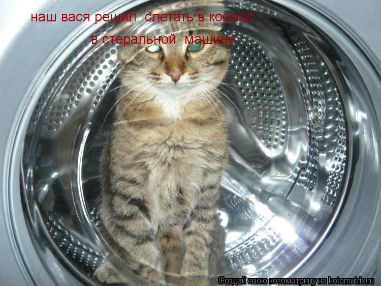 наш вася решил слетать в космос в стеральной машине... Котоматрица: наш вася решил слетать в космос в стеральной машине