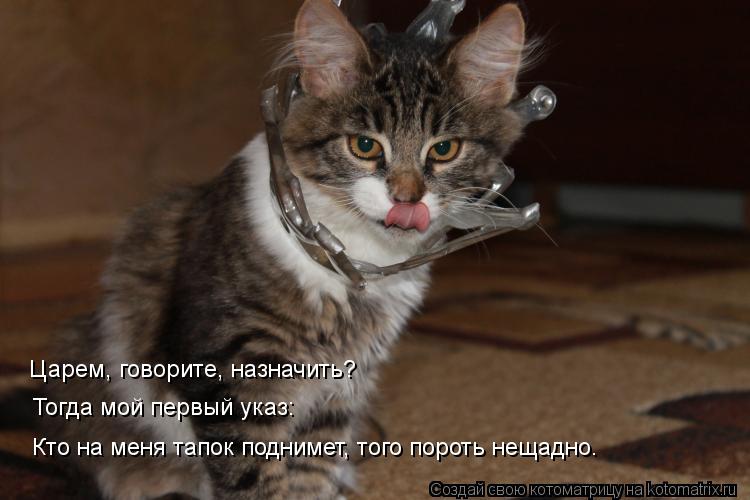 Царем, говорите, назначить? Тогда мой первый указ: Кто на меня тапок поднимет, того пороть нещадно.... Котоматрица: Царем, говорите, назначить? Тогда мой первый указ: Кто на меня тапок поднимет, того пороть нещадно.