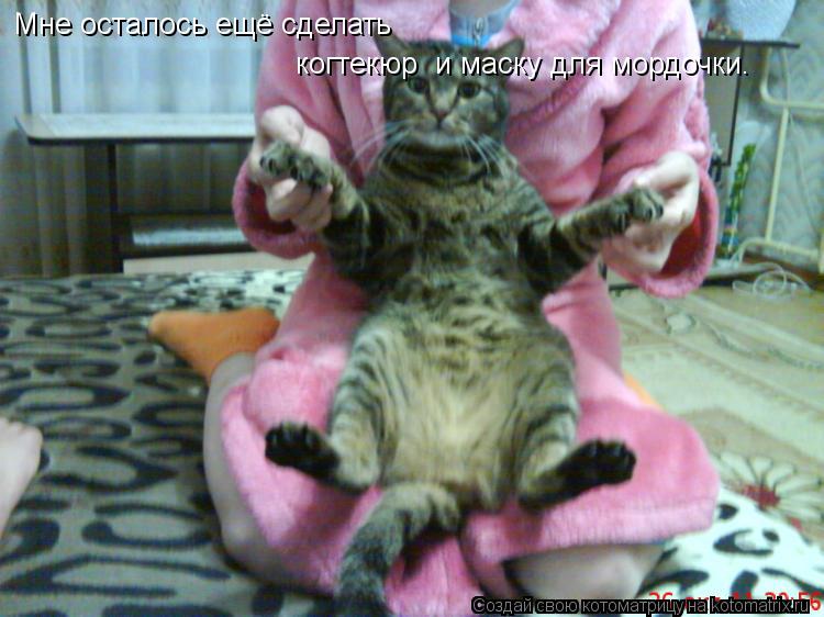 Мне осталось ещё сделать когтекюр и маску для мордочки.... Котоматрица: Мне осталось ещё сделать когтекюр и маску для мордочки.