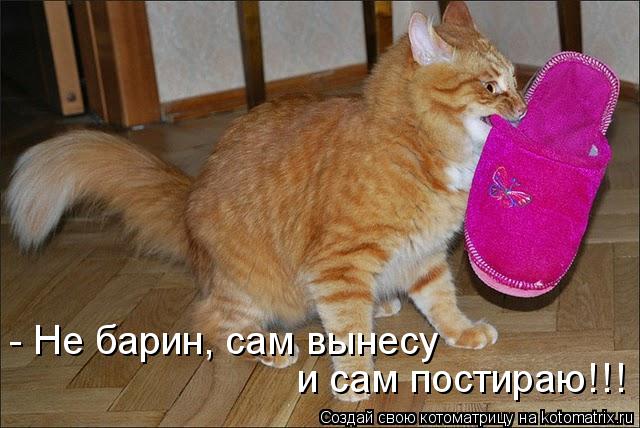 - Не барин, сам вынесу и сам постираю!!!... Котоматрица: - Не барин, сам вынесу и сам постираю!!!