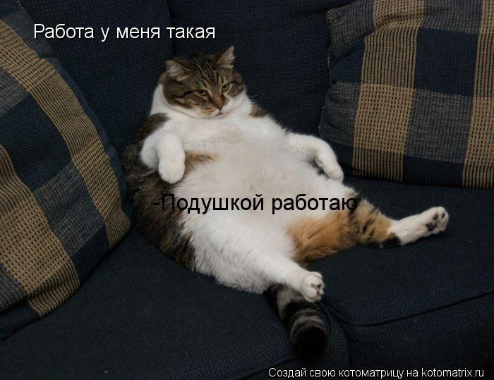 Котоматрица: Работа у меня такая -Подушкой работаю