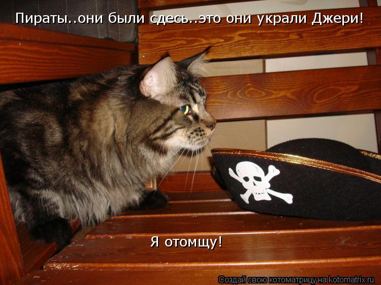Пираты..они были сдесь..это они украли Джери! Я отомщу!... Котоматрица: Пираты..они были сдесь..это они украли Джери! Я отомщу!