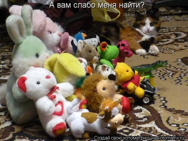 Котоматрица: А вам слабо меня найти?
