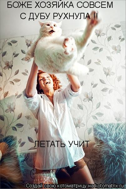 БОЖЕ ХОЗЯЙКА СОВСЕМ С ДУБУ РУХНУЛА !! ЛЕТАТЬ УЧИТ... Котоматрица: БОЖЕ ХОЗЯЙКА СОВСЕМ С ДУБУ РУХНУЛА !! ЛЕТАТЬ УЧИТ