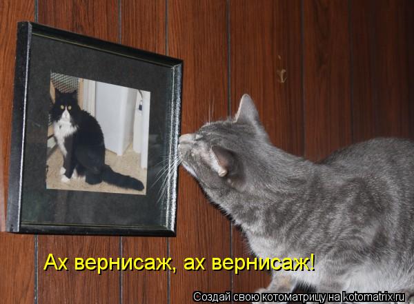 Ах вернисаж, ах вернисаж!... Котоматрица: Ах вернисаж, ах вернисаж!