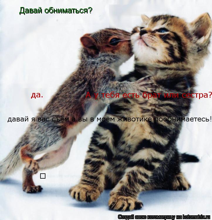 Давай обниматься? А у тебя есть брат или сестра? да. давай я вас съем а вы в моём животике пообнимает... Котоматрица: Давай обниматься? А у тебя есть брат или сестра? да. давай я вас съем а вы в моём животике пообнимаетесь! ☺