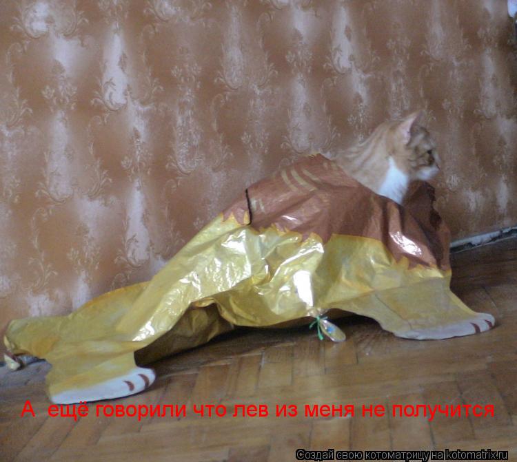 Котоматрица: А  ещё говорили что лев из меня не получится
