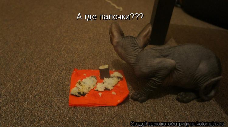 Котоматрица: А где палочки???