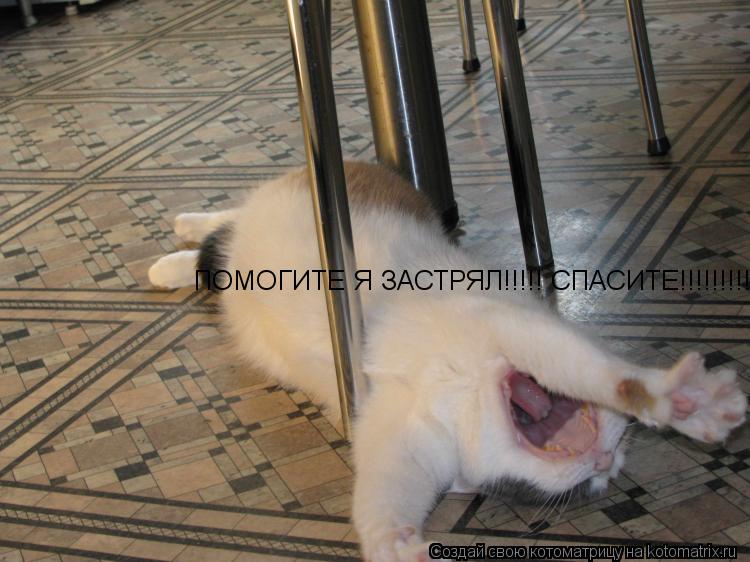 Котоматрица: ПОМОГИТЕ Я ЗАСТРЯЛ!!!!! СПАСИТЕ!!!!!!!!!