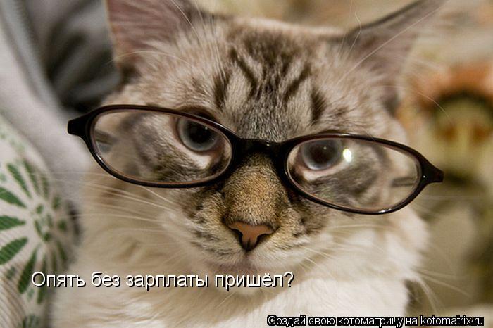 Котоматрица: Опять без зарплаты пришёл?