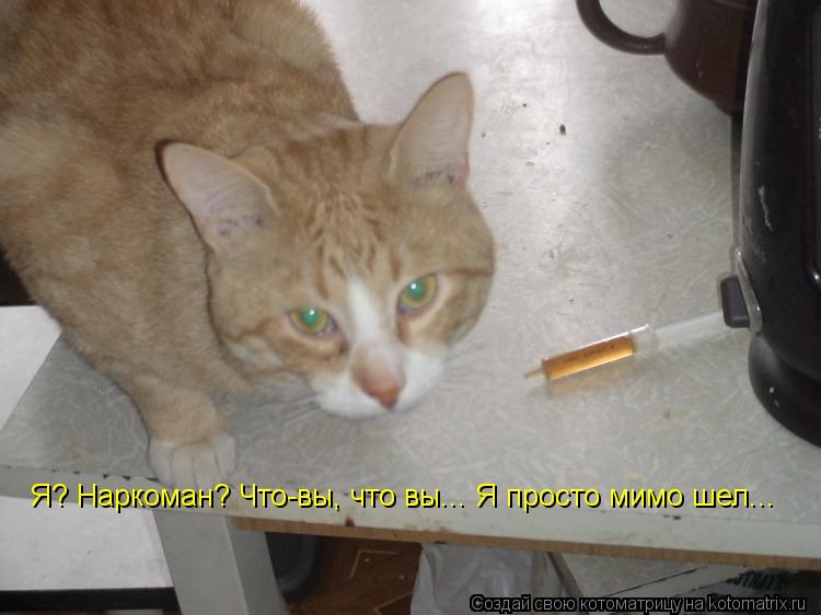 Котоматрица: Я? Наркоман? Что-вы, что вы... Я просто мимо шел...
