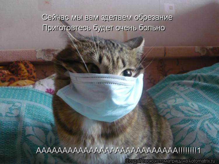 Котоматрица: Сейчас мы вам зделаем обрезание Приготовтесь будет очень больно ААААААААААААААААААААААААААА!!!!!!!!1