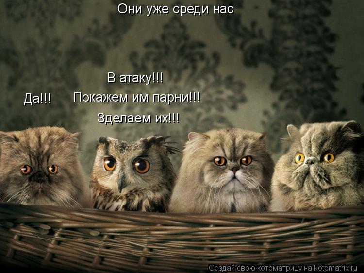 Котоматрица: Они уже среди нас В атаку!!! Покажем им парни!!! Зделаем их!!! Да!!!