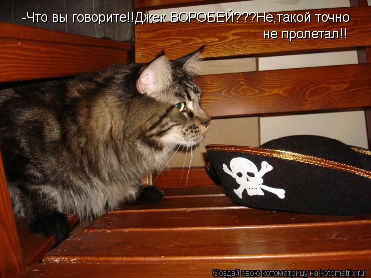 Котоматрица: -Что вы говорите!!Джек ВОРОБЕЙ???Не,такой точно не пролетал!!