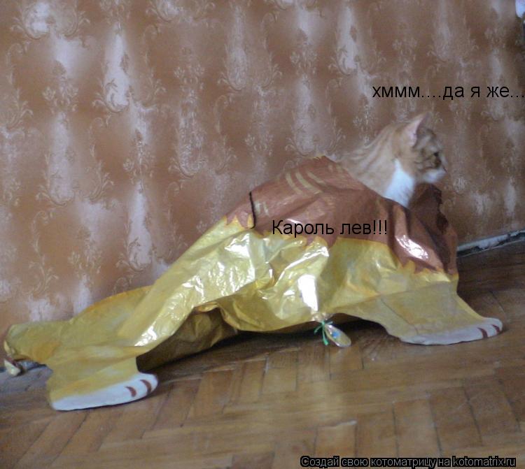 Котоматрица: хммм....да я же... Кароль лев!!!