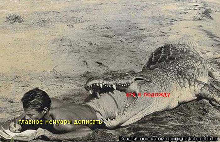 Котоматрица: главное мемуары дописать ага я подожду