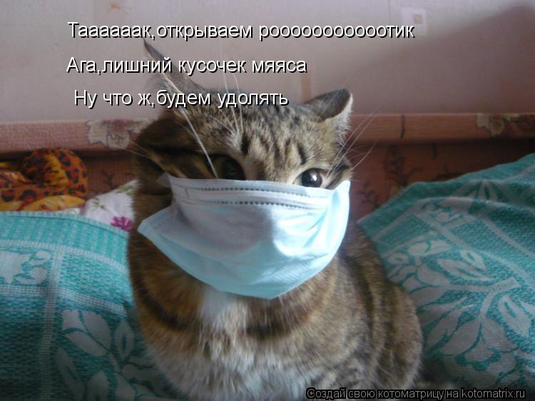 Котоматрица: Таааааак,открываем рооооооооооотик Ага,лишний кусочек мяяса Ну что ж,будем удолять